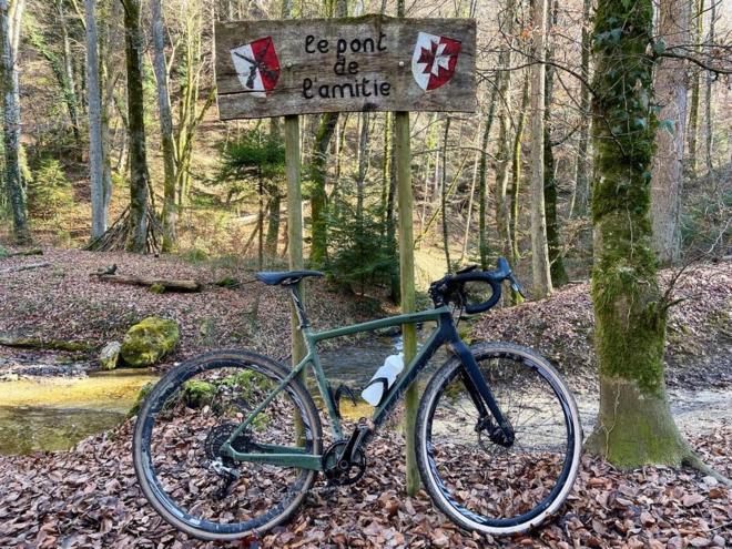 Svizzera, scoprendo nuove foreste