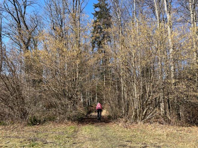 WhatsApp Image 2022-03-17 at 11.44.21.jpeg Foresta di Bremblens