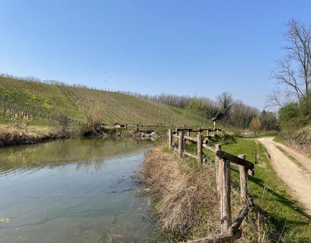 Tra le colline di San Colombano