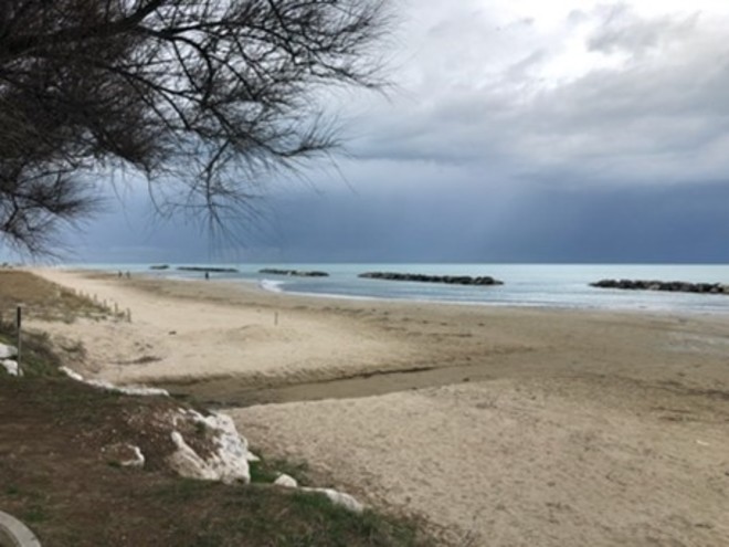 Immagine7.jpg Lungomare di ponente - Oasi marina
