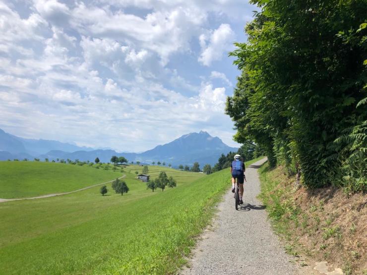 Svizzera - Lucerna, nella foresta di Meggenwald
