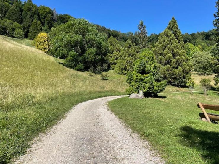 Svizzera, da Losanna ad Arboretum