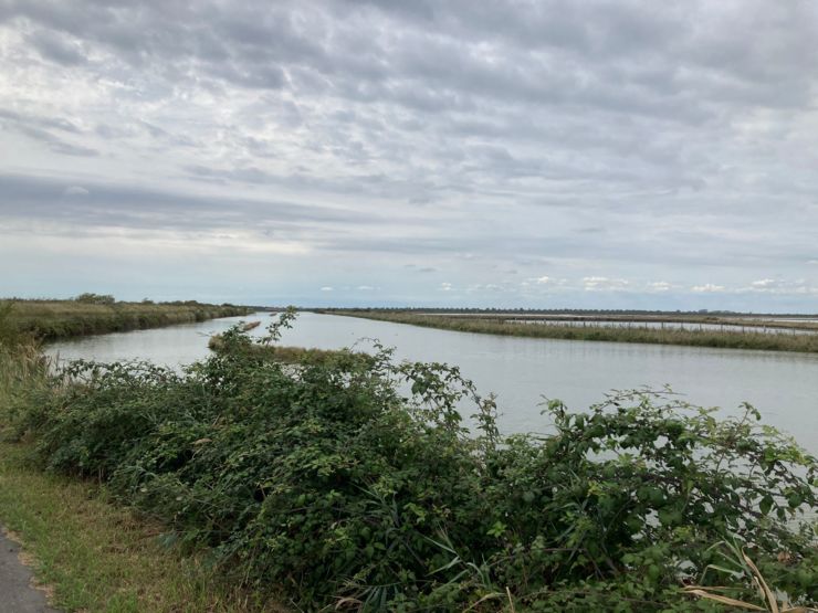 Veneto - Parco del Delta del Po