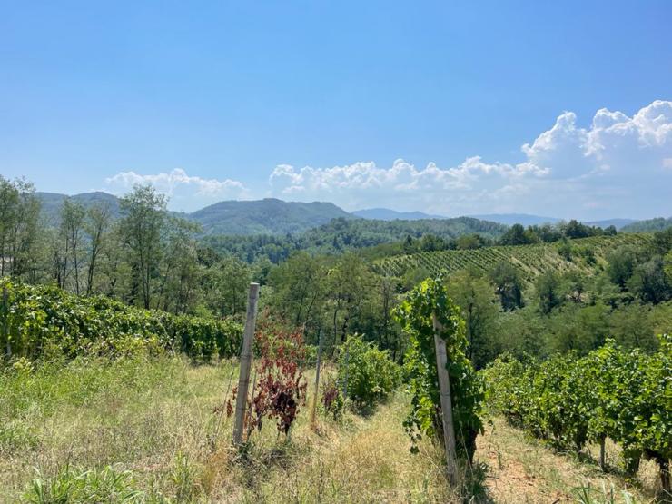 Piacentino, tra la Val d'Arda, Val Chiavenna e Val Chero